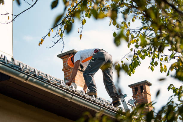 Asphalt Shingles Roofing in Mcadoo, PA