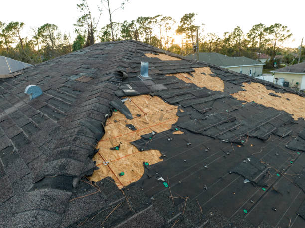 Best Roof Ventilation Installation  in Mcadoo, PA