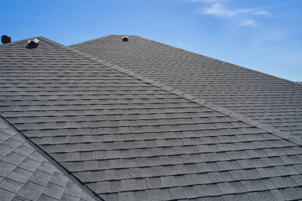 Best Roof Moss and Algae Removal  in Mcadoo, PA